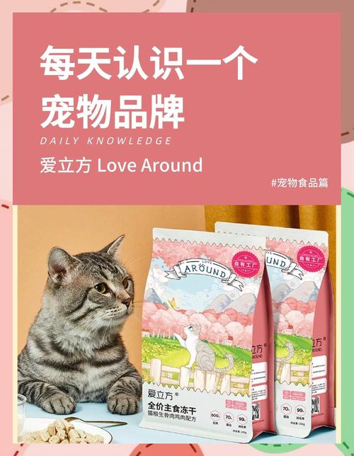 LOVE爱立方官网:深度分析与未来展望