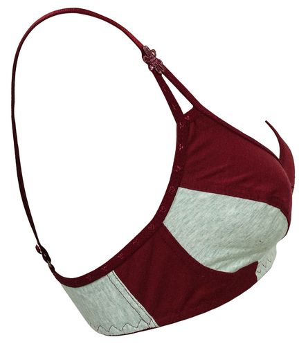 LingerieS最新版本的深度分析：探索新特性与游戏体验的提升