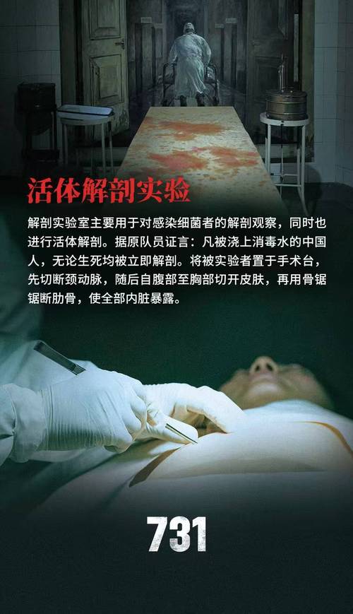 深入探索《幽灵牛奶生活》官方正式版下载最新版的特色与魅力