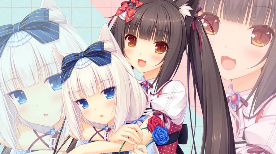 巧克力与香子兰版本大全:深度分析与实用指南