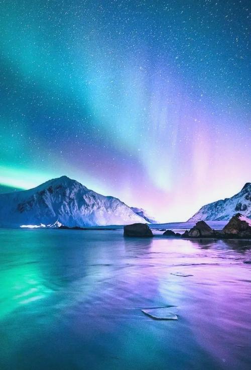 深入探索《北极光:开始游戏攻略》的战略与玩法