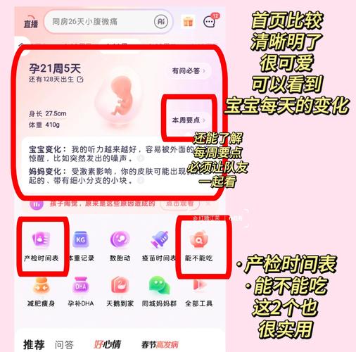 如何下载和安装《怀孕无双》官方正式版最新版教程