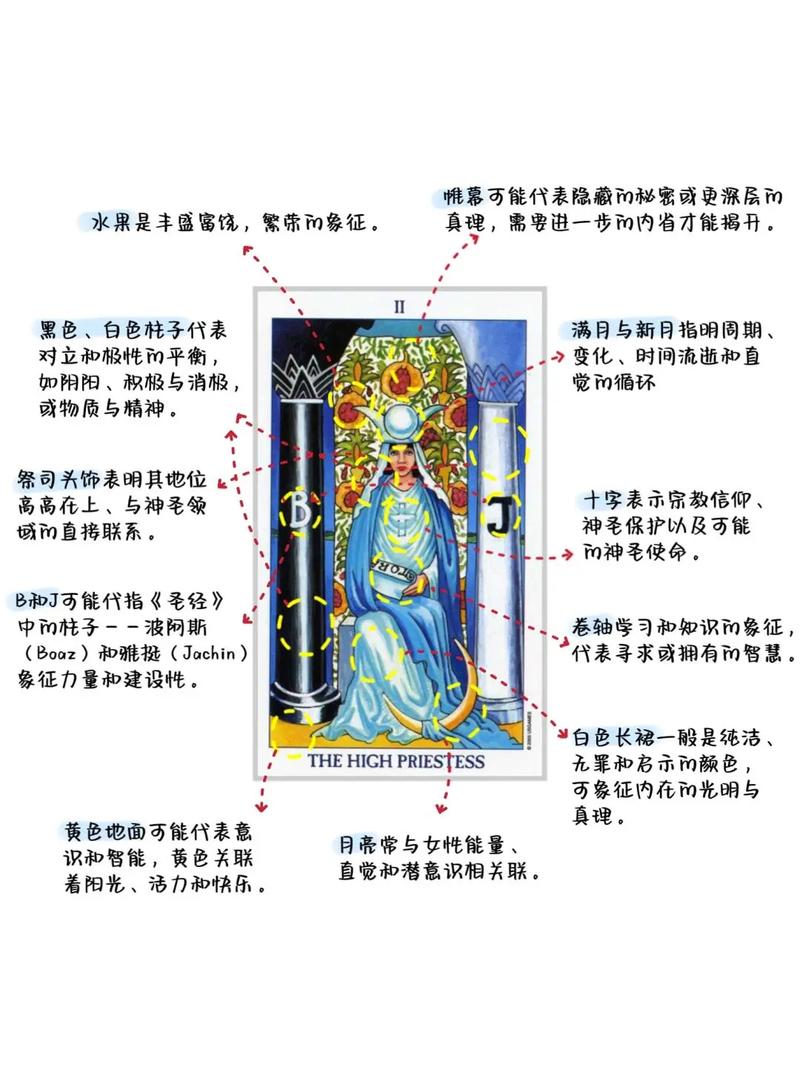 如何高效利用女祭司官网：详细教程与实用技巧