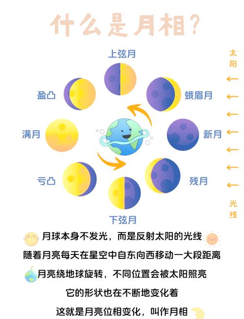 如何获取月下40部的下载地址：实用教程