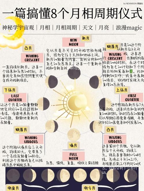 如何获取月下40部的下载地址：实用教程
