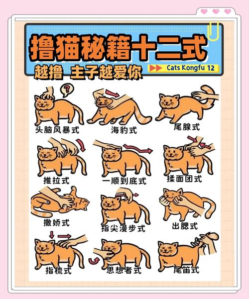 如何高效运用小野猫N上杨过游戏的技巧与攻略