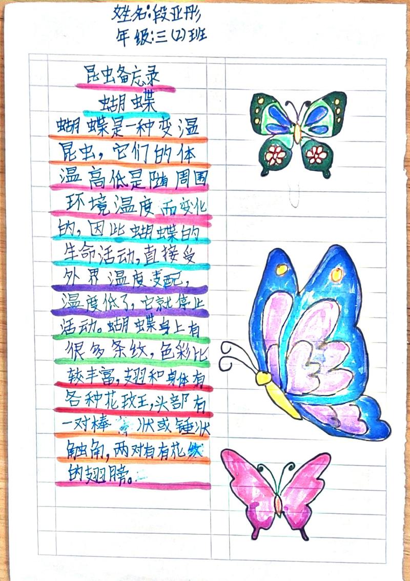 如何有效使用幻想蝴蝶飞舞时官方网站进行游戏体验优化