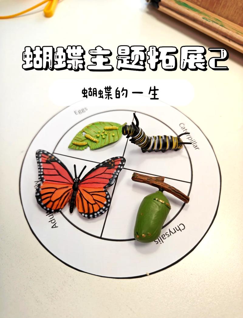 如何有效使用幻想蝴蝶飞舞时官方网站进行游戏体验优化