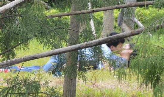 激情公园最新版本实用教程：新手入门指南