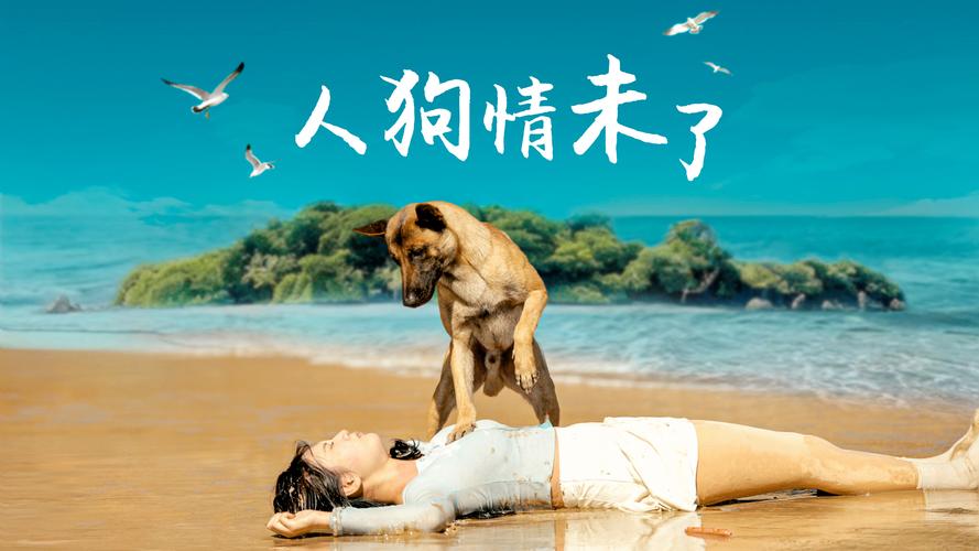 如何下载人狗情未了：详细教程与实用技巧