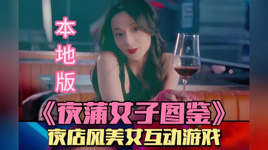 夜蒲觅爱游戏详细介绍与新手指南