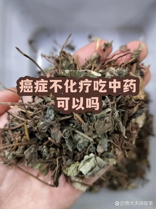 深入探讨:在哪下载《除灵猎人》及其背后的游戏魅力