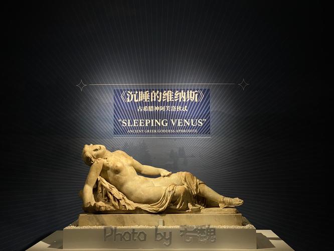 深入探讨：维纳斯俱乐部欧美96版最新版本分析