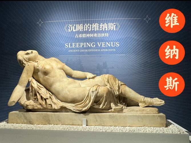 深入探讨：维纳斯俱乐部欧美96版最新版本分析