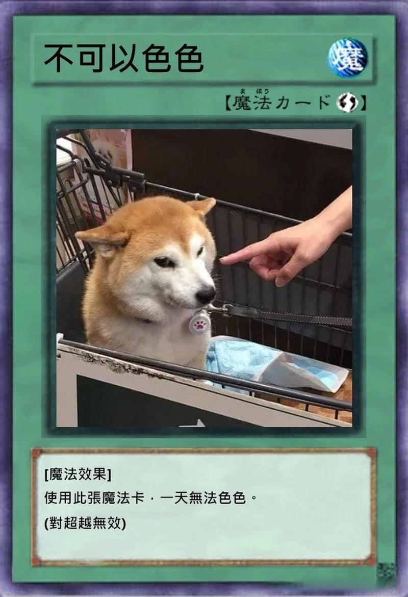 办公室潜规则与杨过游戏的深度解析