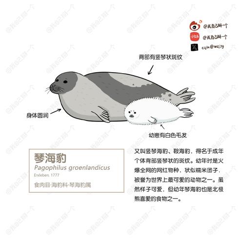 深度解析海豹社30部合集中的绅士游戏魅力与影响