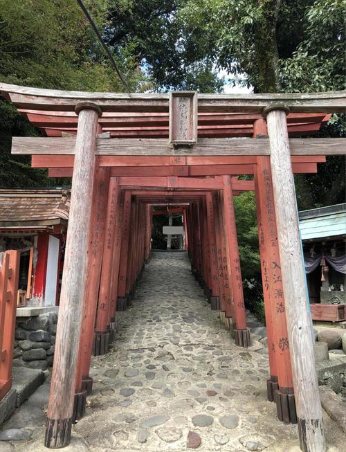 深入探索五谷神稻荷：Inari游戏官网的设计与体验