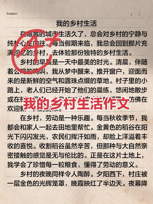 深入解析《乡村生活的快乐暑假汉化版》最新更新内容