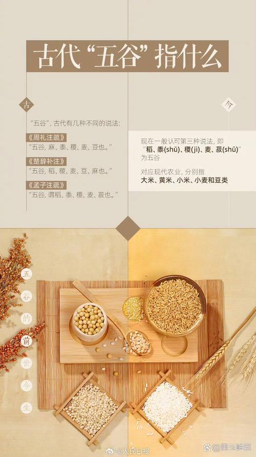 深度解析五谷神稻荷：Inari官网的独特魅力与市场潜力