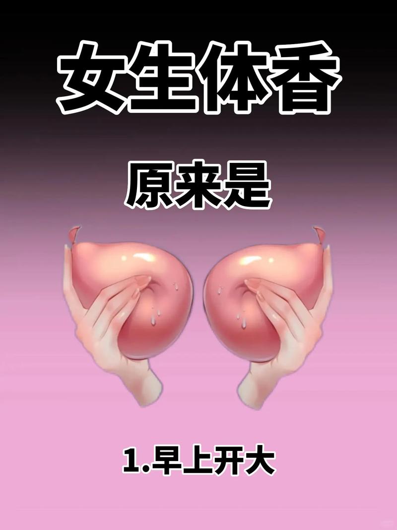 全面解析：美女养成师版本大全的深度分析与实用建议