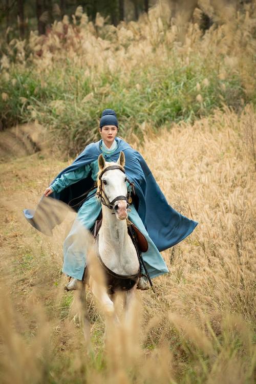 勇者罗伊的婚礼：杨过游戏的深度分析与前景展望